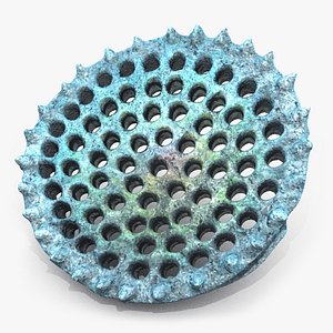 Diatom Frustule