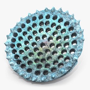 Diatom Frustule