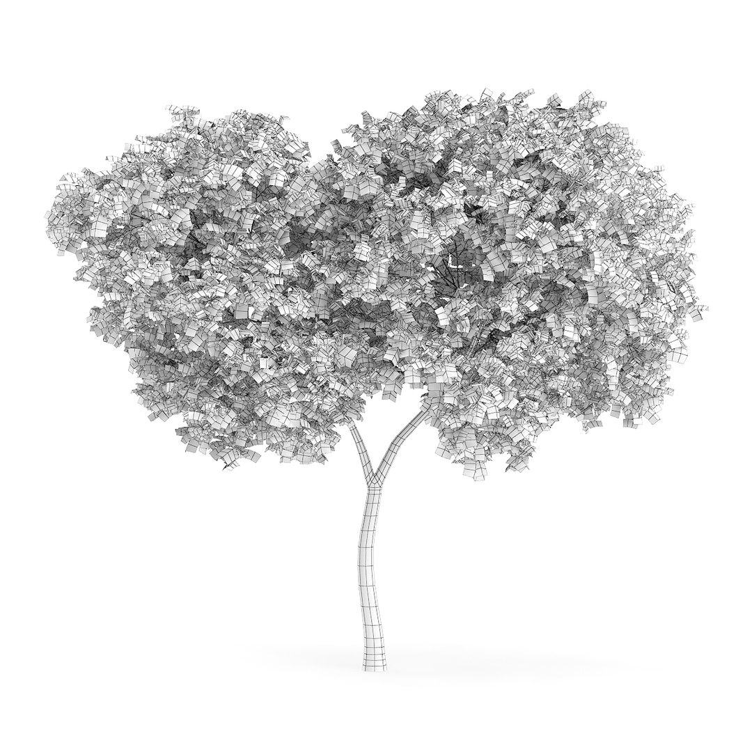 3D model volume 72 trees ix https://p.turbosquid.com/ts-thumb/XQ/sSUyQN/5p5A7Um7/cgaxis_models_72_15agrid/jpg/1496344467/1920x1080/fit_q87/d09ea80e726c6c8b49092cd7a9f6ba759e3c90f9/cgaxis_models_72_15agrid.jpg