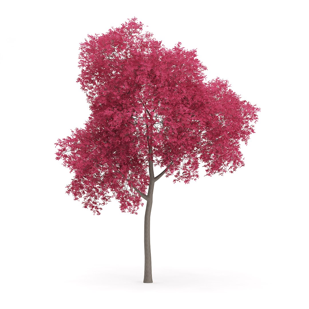 3D model volume 72 trees ix https://p.turbosquid.com/ts-thumb/XQ/sSUyQN/5qNFY5vA/cgaxis_models_72_18a/jpg/1496344467/1920x1080/fit_q87/bd1ed46b7117b549fa431ec8cfc8e9e302fb6d6f/cgaxis_models_72_18a.jpg