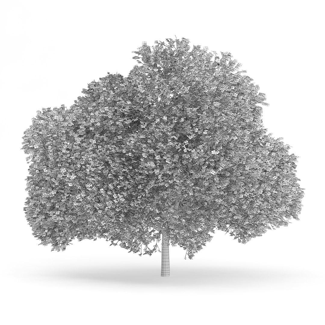 3D model volume 72 trees ix https://p.turbosquid.com/ts-thumb/XQ/sSUyQN/IO94sC5b/cgaxis_models_72_06agrid/jpg/1496344466/1920x1080/fit_q87/9b6a1d94419b23d2a23b7afce12aabb73475c37c/cgaxis_models_72_06agrid.jpg