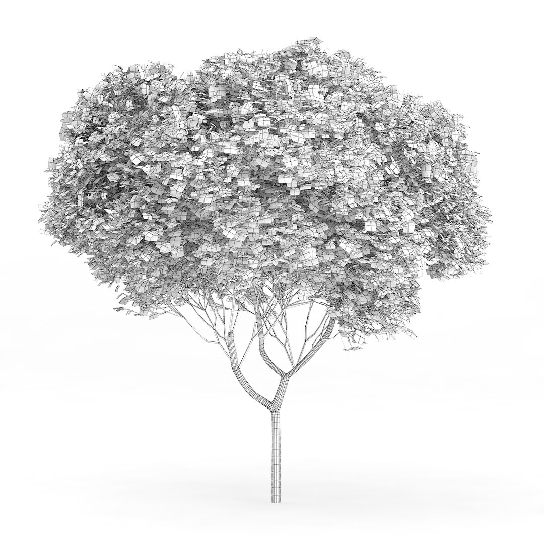 3D model volume 72 trees ix https://p.turbosquid.com/ts-thumb/XQ/sSUyQN/SlpUKd3N/cgaxis_models_72_13agrid/jpg/1496344467/1920x1080/fit_q87/45af7b554f50844f13c9b4fe26b97ce36d8a7aa1/cgaxis_models_72_13agrid.jpg