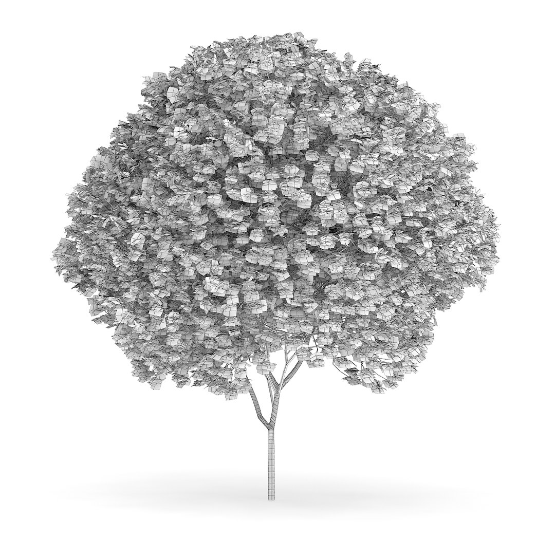 3D model volume 72 trees ix https://p.turbosquid.com/ts-thumb/XQ/sSUyQN/fxTb7UJ9/cgaxis_models_72_11agrid/jpg/1496344467/1920x1080/fit_q87/de25f41b6cc60ee6d8293da6547778861f394a44/cgaxis_models_72_11agrid.jpg