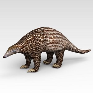 Pangolin