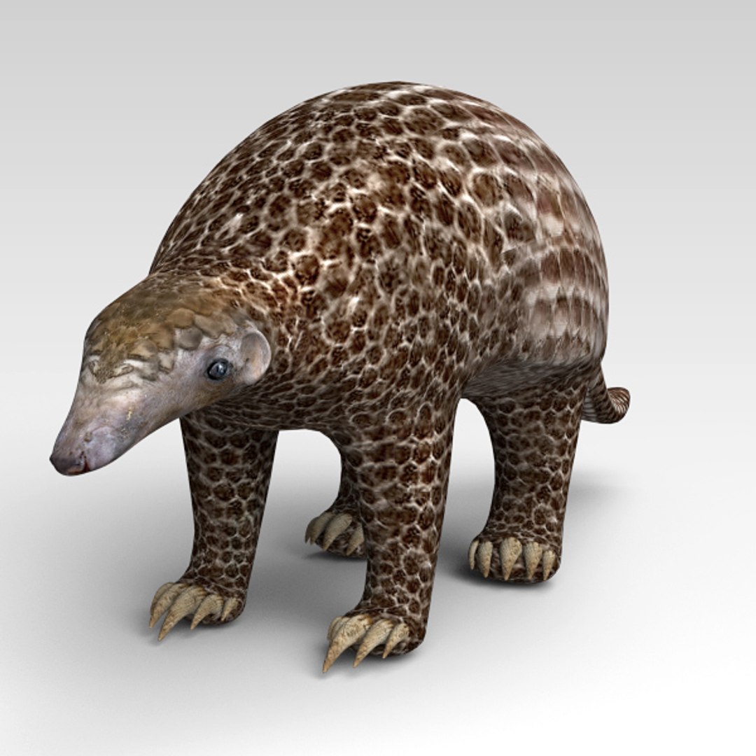 Pangolin 3D Model - TurboSquid 1334350