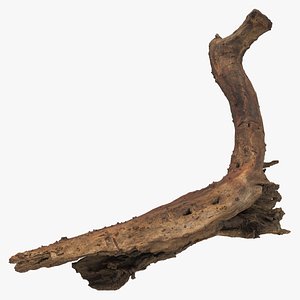 Broken Tree Bark Piece 01