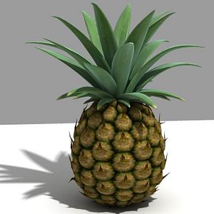 pineapple 3d model