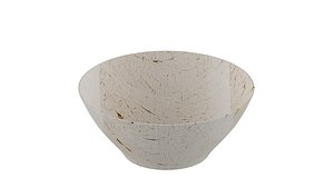White Bowl model