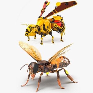 Honey Bee with Robot Bee Rigged for Cinema 4D Collection 3D