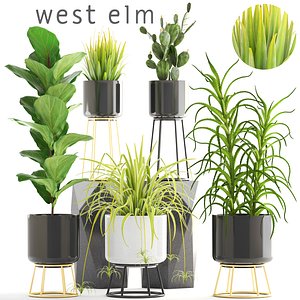 plants pots west 3D model