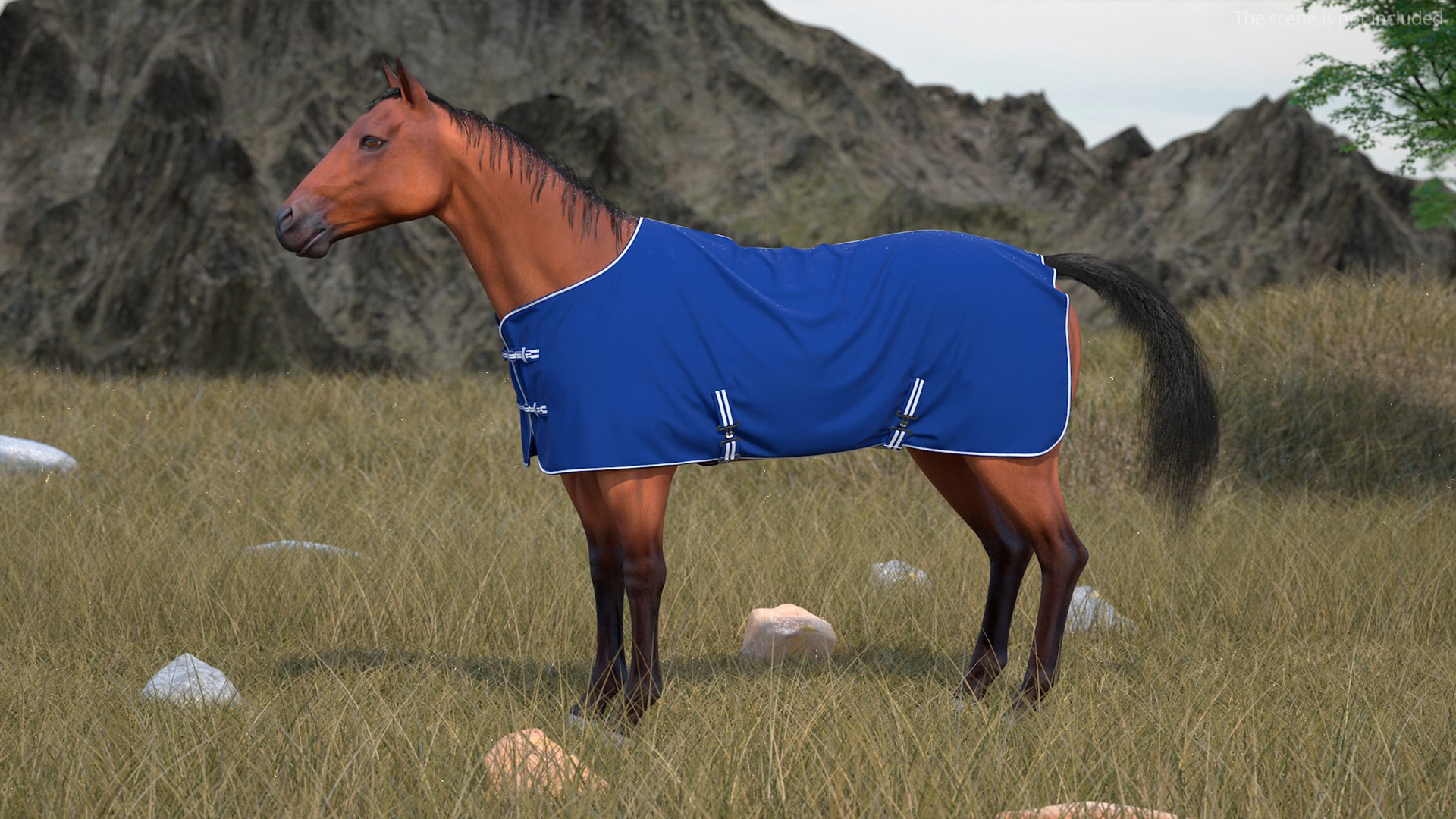 Stable Rug Blue Fleece On Horse Fur 3D Model - TurboSquid 2144087