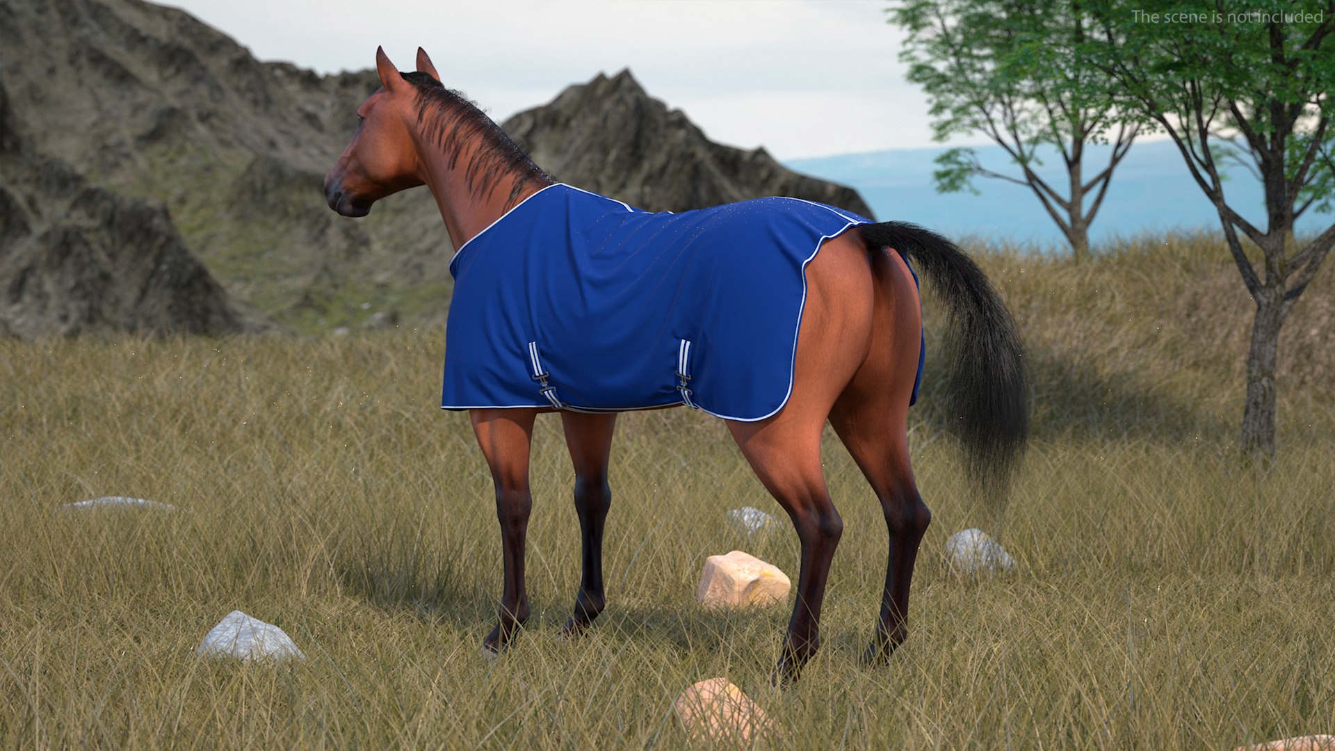 Stable Rug Blue Fleece On Horse Fur 3D Model - TurboSquid 2144087