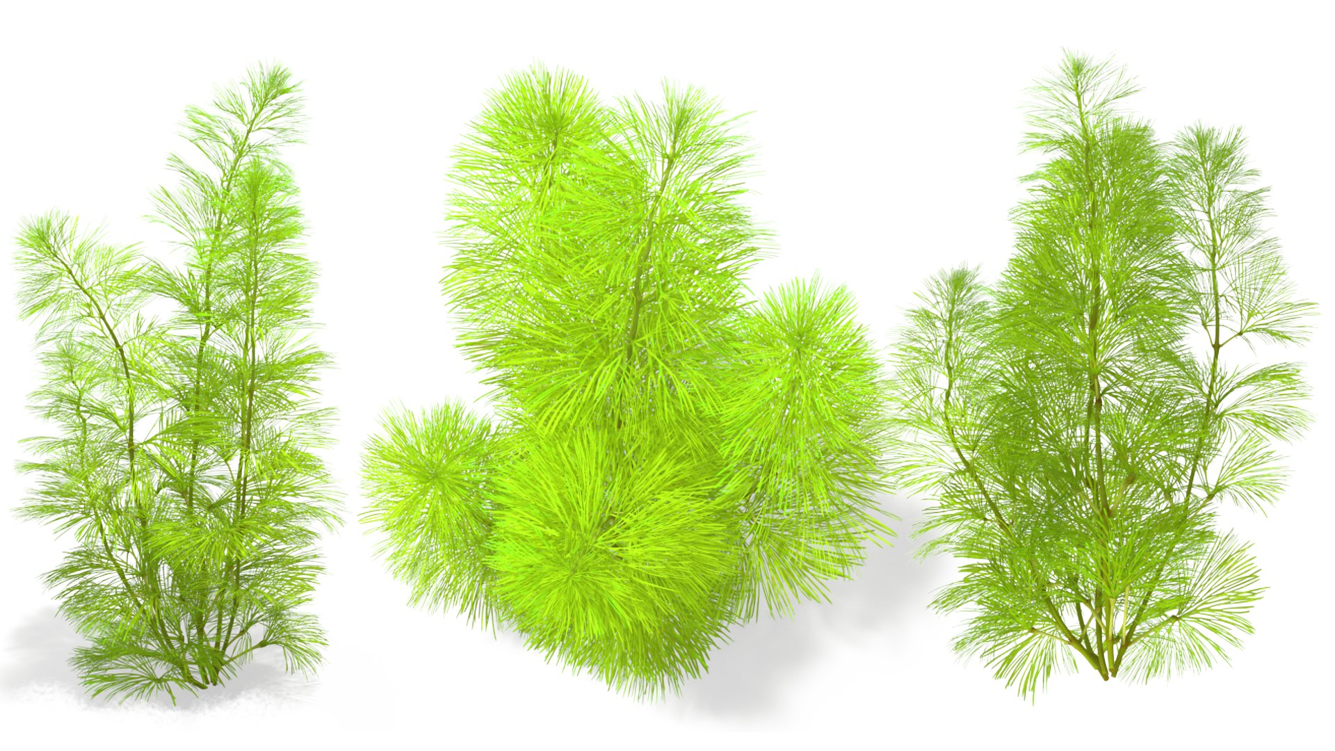 3D Aquarium Plants Collection 3 https://p.turbosquid.com/ts-thumb/XR/D7lcMi/7P/aquariumplantscollection3mb3dmodel007/jpg/1703185451/1920x1080/fit_q87/1296a4830e29970d2114ab5cb124b2cf05b319cd/aquariumplantscollection3mb3dmodel007.jpg