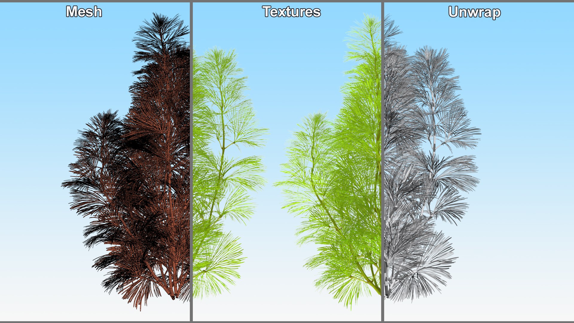 3D Aquarium Plants Collection 3 https://p.turbosquid.com/ts-thumb/XR/D7lcMi/Cf/aquariumplantscollection3mb3dmodel005/jpg/1703185440/1920x1080/fit_q87/c7bc4205271a6cca6d420a84b82afd5533846d2b/aquariumplantscollection3mb3dmodel005.jpg