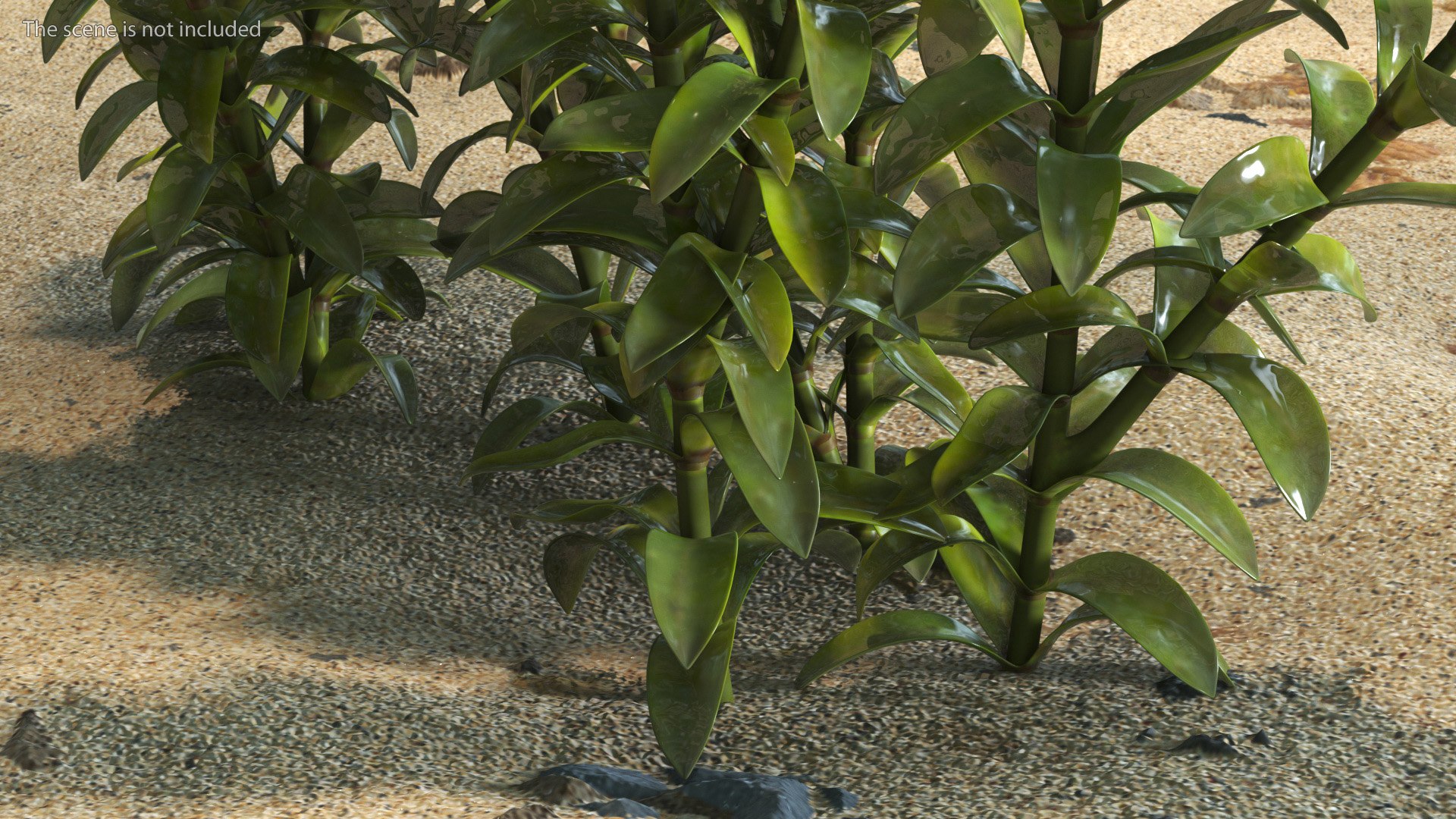 3D Aquarium Plants Collection 3 https://p.turbosquid.com/ts-thumb/XR/D7lcMi/DK/aquariumplantscollection3mb3dmodel035/jpg/1703185579/1920x1080/fit_q87/02cfd7b39fece132db5266e656406b18dad7315b/aquariumplantscollection3mb3dmodel035.jpg