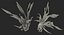 Aquarium Plants Collection 3