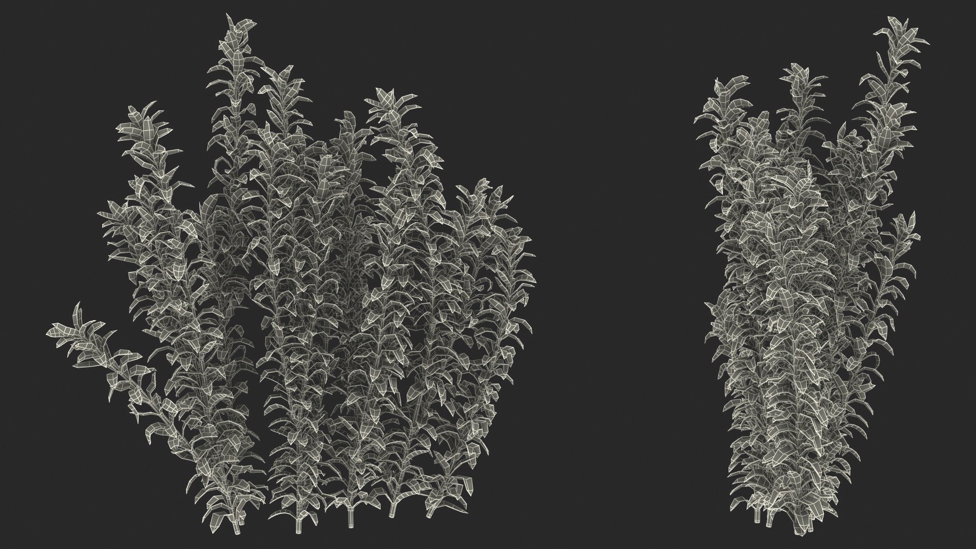 3D Aquarium Plants Collection 3 https://p.turbosquid.com/ts-thumb/XR/D7lcMi/Gm/aquariumplantscollection3mb3dmodel056/jpg/1703185678/1920x1080/fit_q87/b8c06ddab6e16d70c4b17eec0096f1bbc3947abe/aquariumplantscollection3mb3dmodel056.jpg