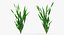 Aquarium Plants Collection 3