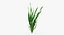 Aquarium Plants Collection 3
