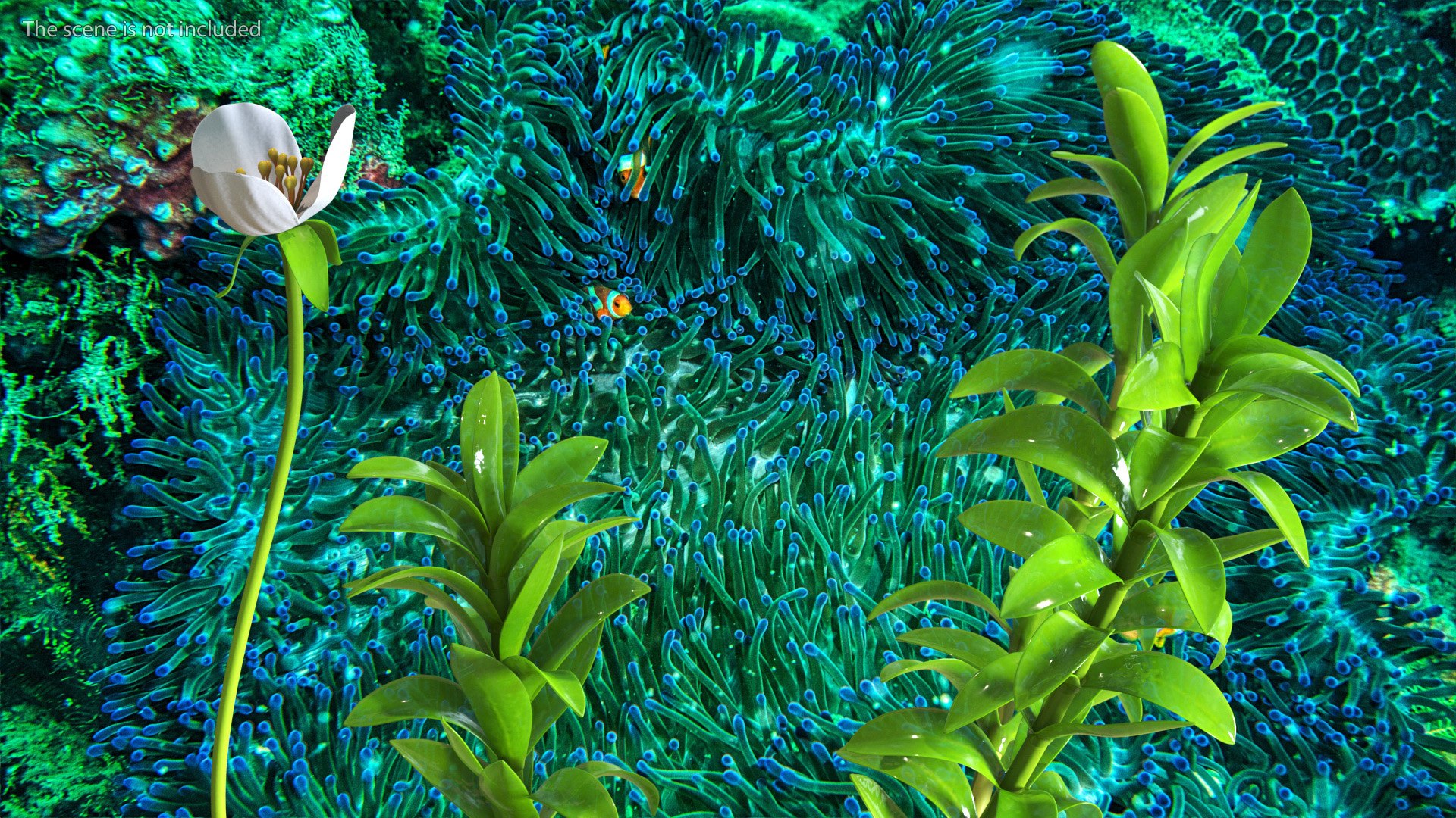 3D Aquarium Plants Collection 3 https://p.turbosquid.com/ts-thumb/XR/D7lcMi/P3/aquariumplantscollection3mb3dmodel010/jpg/1703185466/1920x1080/fit_q87/e95212c310456d89f6c27e871b92120708fea270/aquariumplantscollection3mb3dmodel010.jpg