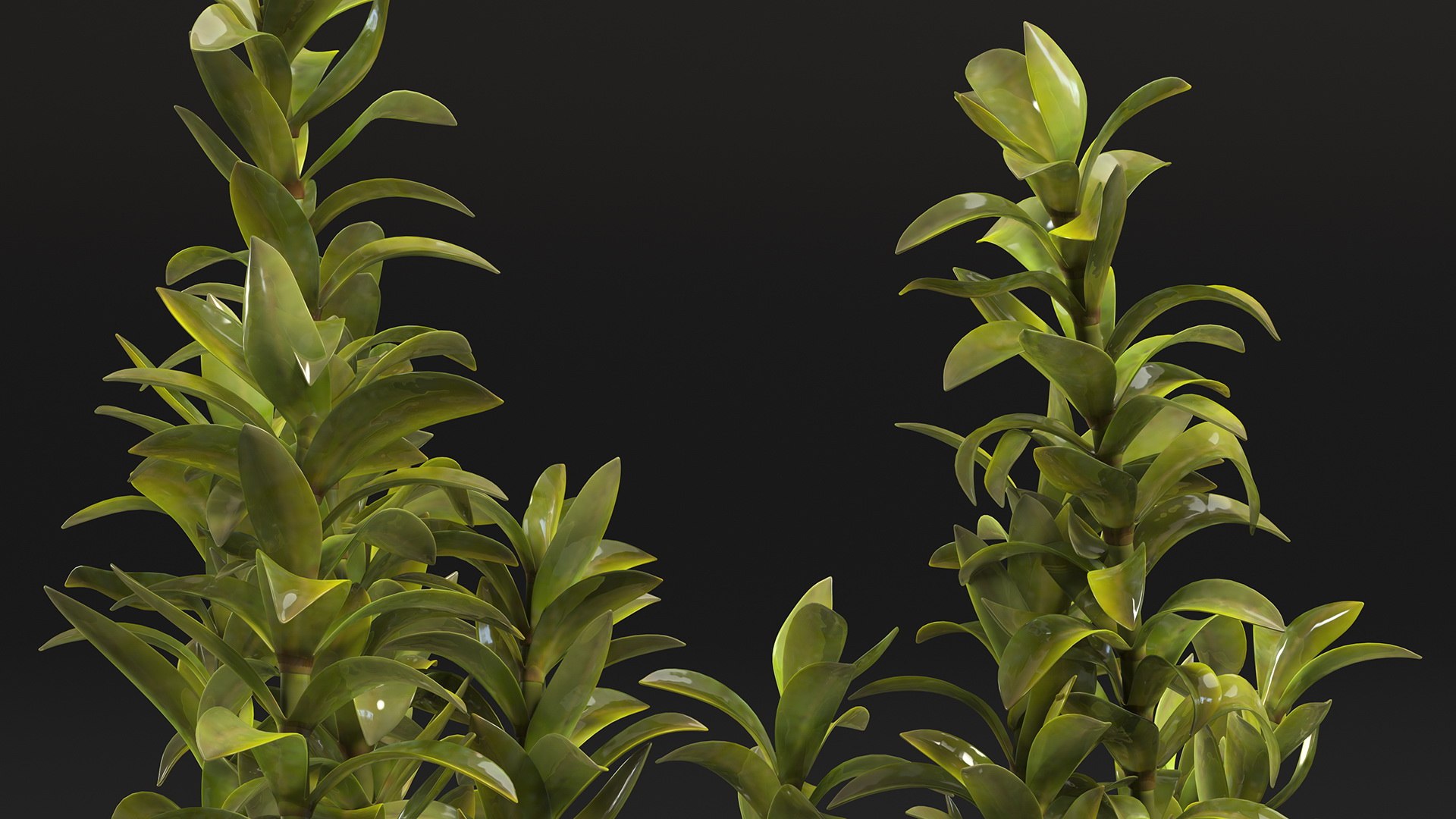 3D Aquarium Plants Collection 3 https://p.turbosquid.com/ts-thumb/XR/D7lcMi/Wc/aquariumplantscollection3mb3dmodel037/jpg/1703185587/1920x1080/fit_q87/e1ac3e038821603c4e526a38b8ee6ed363d5ae9d/aquariumplantscollection3mb3dmodel037.jpg