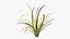Aquarium Plants Collection 3