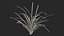 Aquarium Plants Collection 3