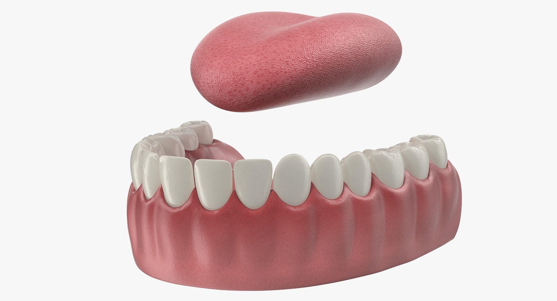3D Tooth Implants Collection 4 https://p.turbosquid.com/ts-thumb/XR/EkHB9y/WA/toothimplantscollection43dmodel090/jpg/1706530872/1920x1080/fit_q87/ad65bf3e731bcebdef4face127de09695553bb4d/toothimplantscollection43dmodel090.jpg