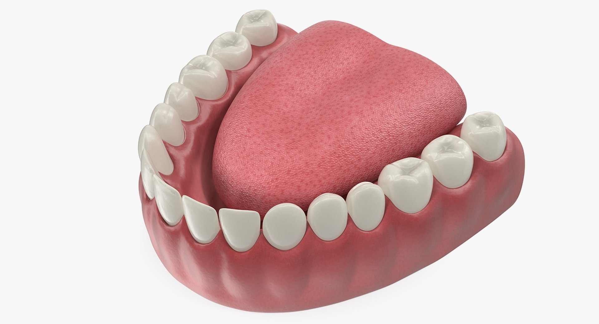 3D Tooth Implants Collection 4 https://p.turbosquid.com/ts-thumb/XR/EkHB9y/wt/toothimplantscollection43dmodel087/jpg/1706530860/1920x1080/fit_q87/bf0df61b9ce4d78152b44e3731969e667318ae77/toothimplantscollection43dmodel087.jpg