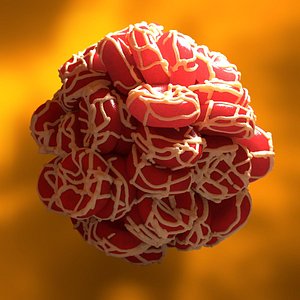 clotted blood cells 3d model