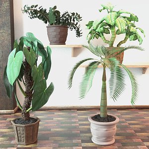 3D model plants pot palm