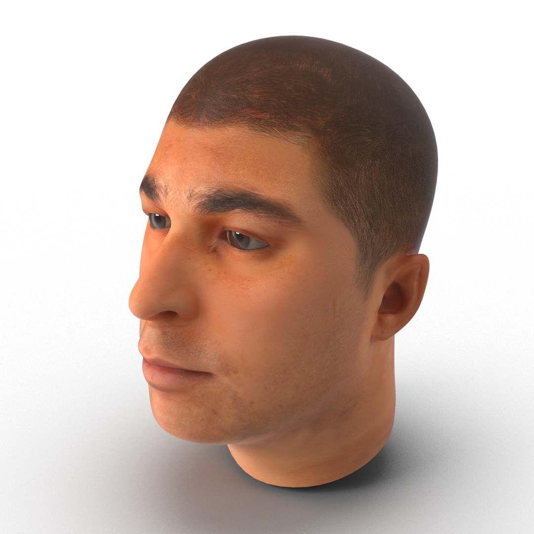 Male Head 20 3d Model