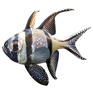 Banggai Cardinalfish