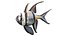 50 Fish Sea Creature Collection v3