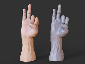 3D Male Hand Pose 29