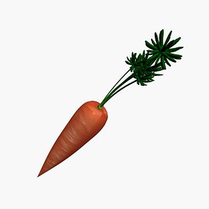 carrot vegetable food 3D model