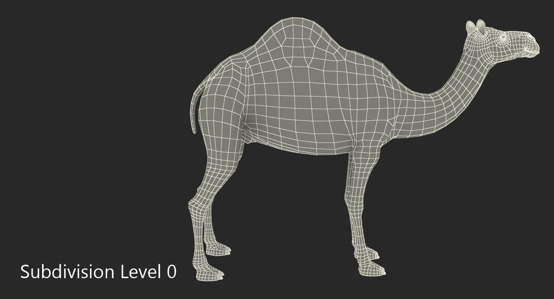 3ds camel realistic https://p.turbosquid.com/ts-thumb/XS/DHNTks/JZwlA9Ys/camelvray3dmodel009/jpg/1487160224/1920x1080/fit_q87/b05868ec419ab6b06a47ee5fc796ff65bbb88d55/camelvray3dmodel009.jpg