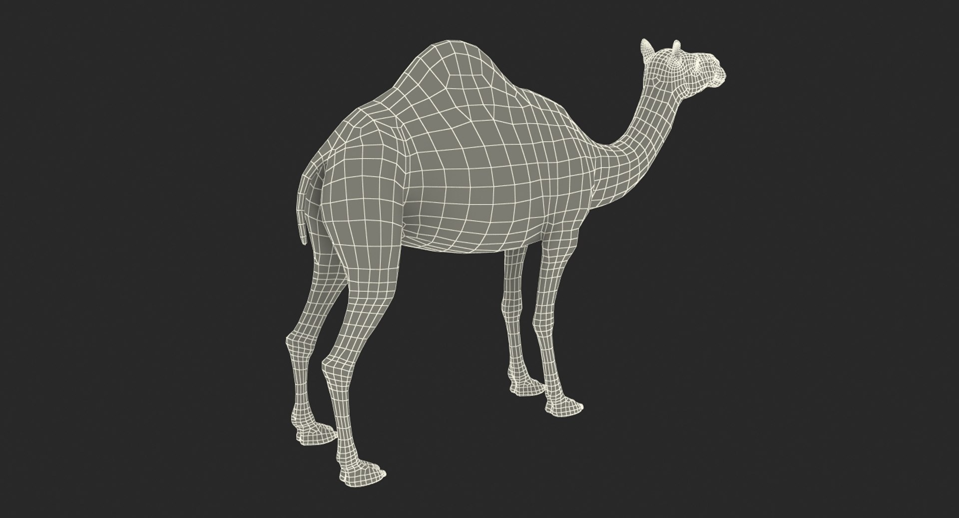 3ds camel realistic https://p.turbosquid.com/ts-thumb/XS/DHNTks/g2AKP9uk/camelvray3dmodel017/jpg/1487160224/1920x1080/fit_q87/8a34fbcf5a47ad04137945a21249341b64aa7829/camelvray3dmodel017.jpg