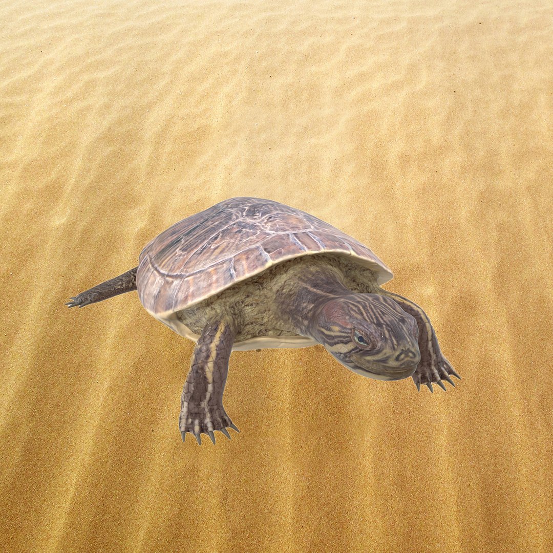 photorealistic animations max https://p.turbosquid.com/ts-thumb/XS/K67MPm/4ZO3jHfW/prevpic/jpg/1410343052/1920x1080/fit_q87/d442579ede9438b0ebe1b380a5722cb945eb9959/prevpic.jpg