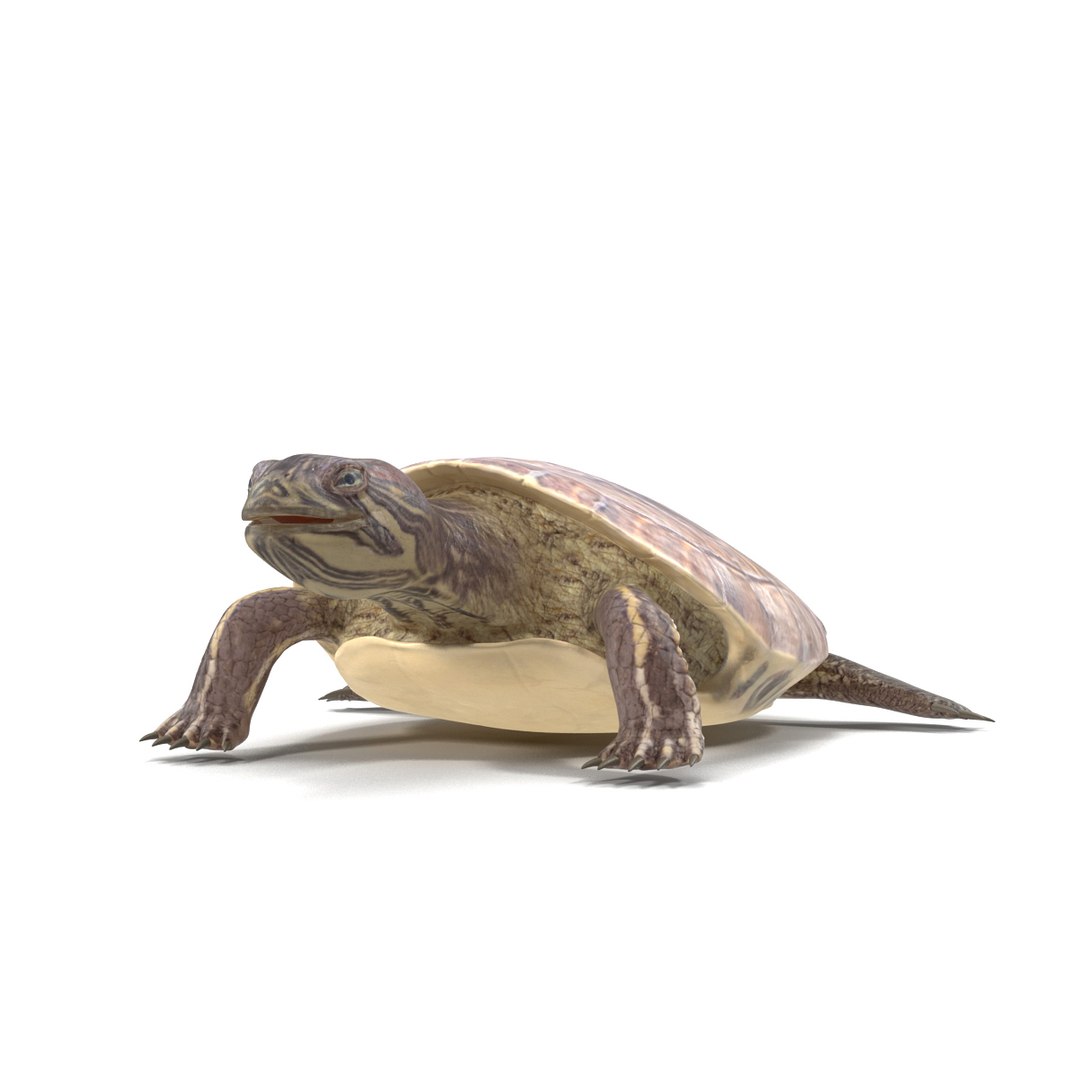 photorealistic animations max https://p.turbosquid.com/ts-thumb/XS/K67MPm/pik8oFUJ/041200/jpg/1410343051/1920x1080/fit_q87/ca96bee448ce21fddc100ce0b05d5ba92285eaf9/041200.jpg