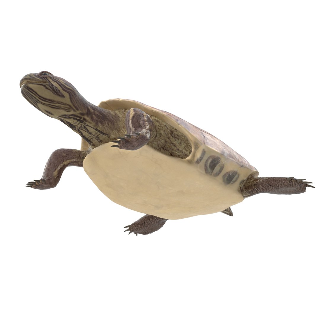 photorealistic animations max https://p.turbosquid.com/ts-thumb/XS/K67MPm/y0ozHFAf/021200/jpg/1410343051/1920x1080/fit_q87/4c519245ca882bec3db4a69640c6de9d23deeda1/021200.jpg