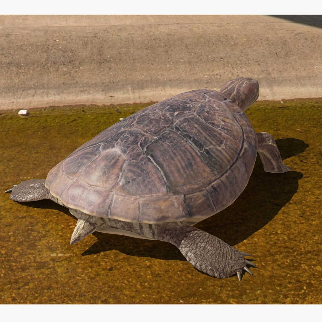 photorealistic animations max https://p.turbosquid.com/ts-thumb/XS/K67MPm/yB3HfNN9/back02/jpg/1410343052/1920x1080/fit_q87/b8db6ce3e945dcc1e07465d0f9cd3c55c44b83a4/back02.jpg