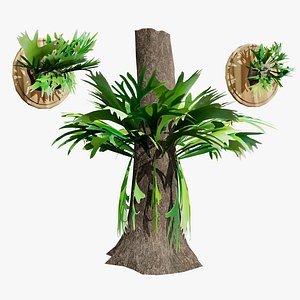 3D High-Detail Staghorn Fern model