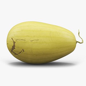 Yellow Skin Watermelon 3D model