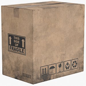 Cardboard Box 5 Worn Closed