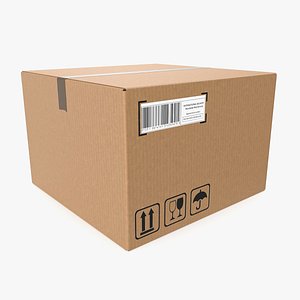 Cardboard box 11 3D model