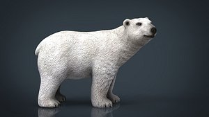 3D model polar bear