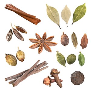 Spice Collection v1 3D model