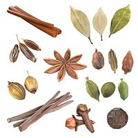 Spice Collection v1