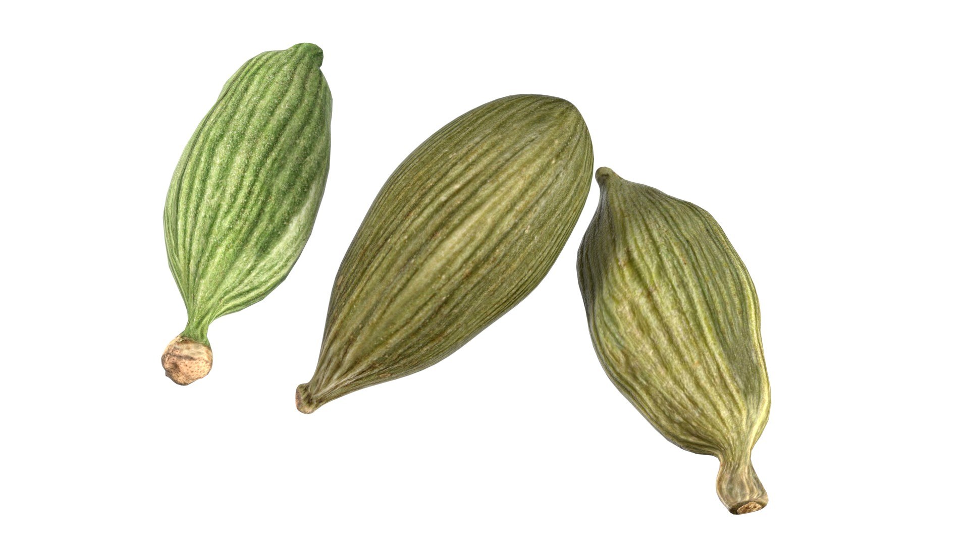 Spice Collection v1 3D model https://p.turbosquid.com/ts-thumb/XT/5Gp7Pq/yT/2/jpg/1747129681/1920x1080/fit_q87/cf70db0b99b45ff3dc79c7bfd8f5d6f01ec75e33/2.jpg